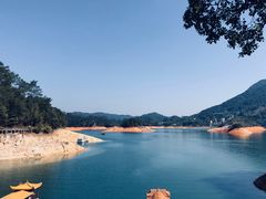 -广州市流溪河国家森林公园