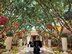 -拉斯维加斯永利酒店