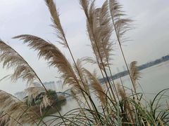 -澹台湖公园