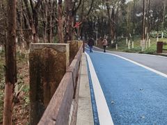 -新洲生态园