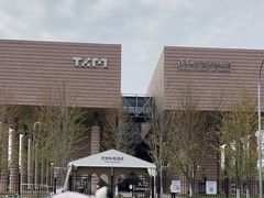 -清华大学艺术博物馆