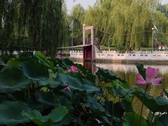 -丰台花园