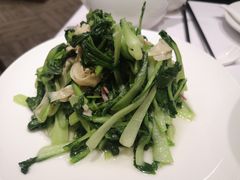 鸡毛菜百叶-新吉士·上海菜(浦东LCM置汇旭辉店)