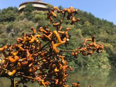 -天河潭旅游度假区