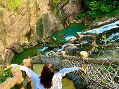 -广州白江湖森林公园