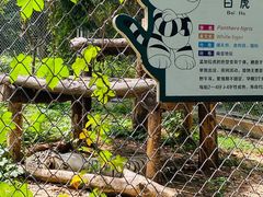 -合肥野生动物园