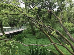 -西湖风景区-江洋畈生态公园