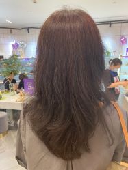 -镁连社·美联社