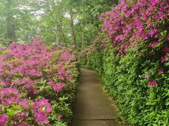 -南山风景名胜区