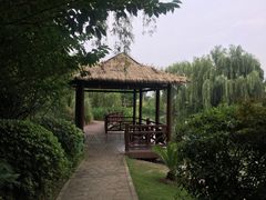 -澹台湖公园