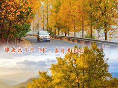 -千岛湖燃擎卡丁车赛车主题乐园(秀湖路店)
