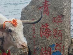 -青海湖国家重点风景名胜区