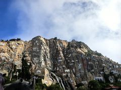 -西霞口神雕山野生动物世界