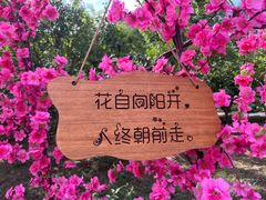 -北京凤凰岭