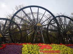 -呀路古热带植物园