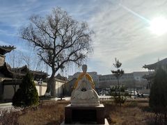 -张掖大佛寺景区