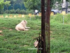 -秦皇岛野生动物园