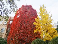 -辽宁大学(崇山校区)