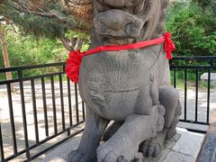 -北陵公园
