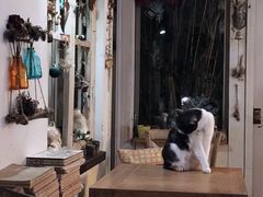 大堂-海边的猫和咖啡馆