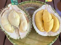 -榴莲BB 四季果园
