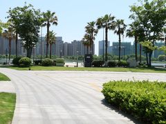 -金沙湖公园