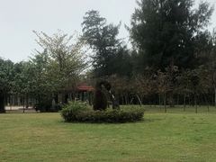 -白沙门生态公园