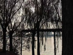 -艾溪湖湿地公园