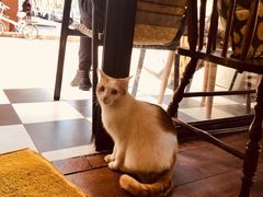 -251#coffee roasters(沿河东路店)