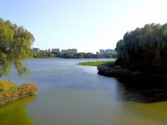 -大兴滨河森林公园