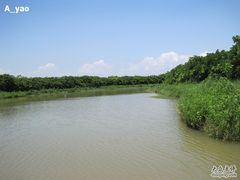 -大湾区中央湿地公园