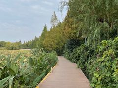 -云龙湖旅游景区