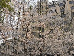 -徐家汇源景区-衡山公园