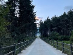 -石棉县孟获城