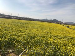 -西海岸生态观光园