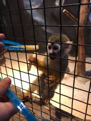 -酷嗒动物文化乐园(cutezoo西溪乐天城店)