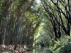 -同里国家湿地公园