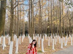 -艾溪湖湿地公园