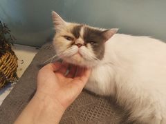 -平行世界·猫咖(首经贸店)