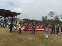 -上海长兴岛郊野公园