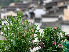 -篁岭景区