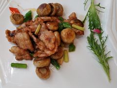 -周三的情书花园餐厅(江北店)