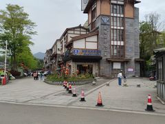 -雅安上里古镇