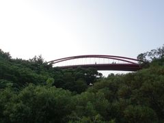 -金鸡山公园