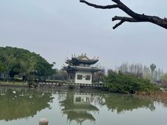 -江心屿景区