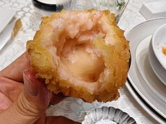-丁老爷子苏香圆