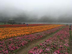-广州市石门国家森林公园