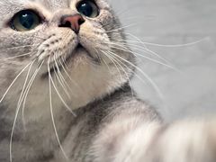 -贝来恩24H动物医院·转诊中心(稻香路店)