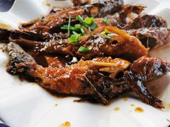 红烧昂刺鱼-洞天食府(北大街店)