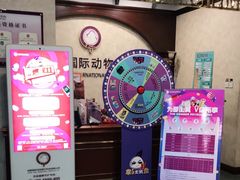 -宠爱国际动物医院· 猫科· 外科·中兽医(长白店)